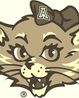 Arizona Wildcats New York