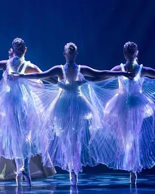 Ballet of Lights New York