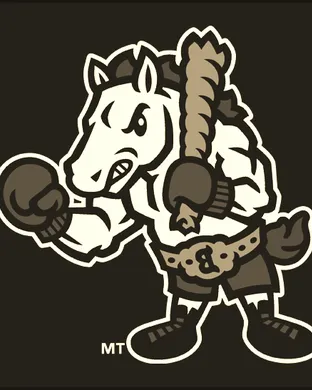 Binghamton Rumble Ponies Bridgewater