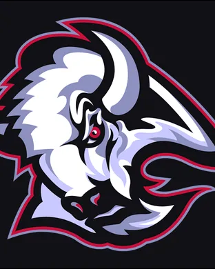 Buffalo Sabres Oshawa