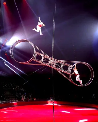 Circus Vazquez Bronx