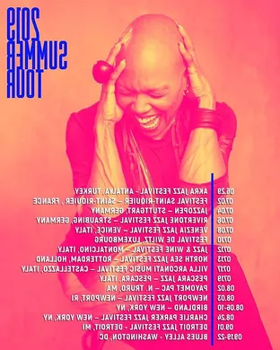 Dee Dee Bridgewater Fairfield