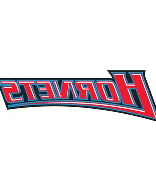 Delaware State Hornets Football Dover