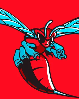 Delaware State Hornets Dover