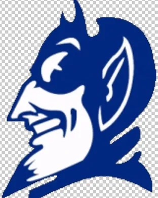 Duke Blue Devils vs. Michigan Wolverines