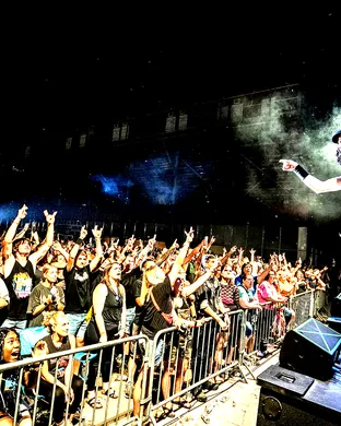 Hairball Huntington