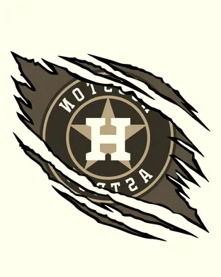 Houston Astros Bronx