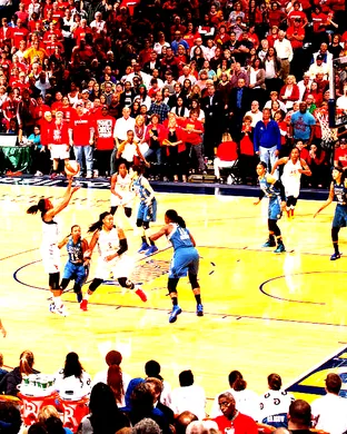Indiana Fever Brooklyn