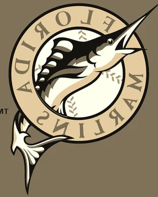 Miami Marlins Flushing