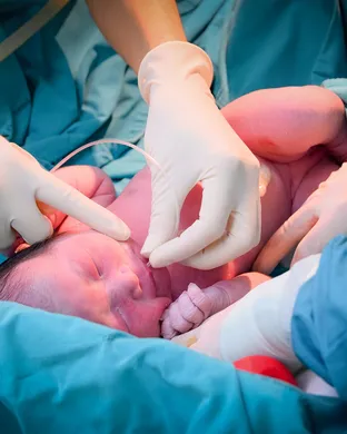 New Born New York