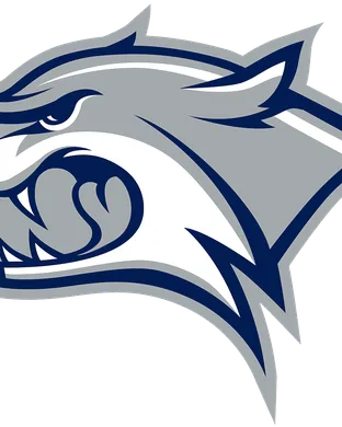 New Hampshire Wildcats Fairfield