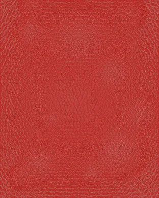 Red Leather New York