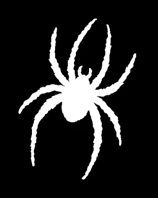 Richmond Spiders Football Bronx