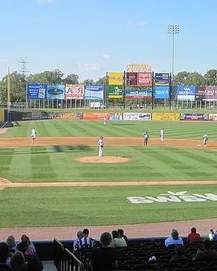 Southern Maryland Blue Crabs Central Islip