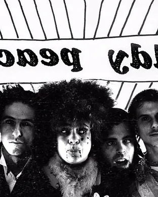 The Moldy Peaches New York