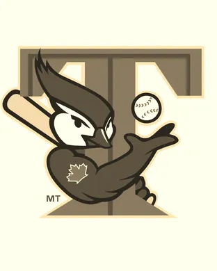 Toronto Blue Jays Bronx