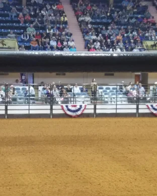 PBR: Teams Series